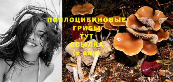 кокаин Алексин