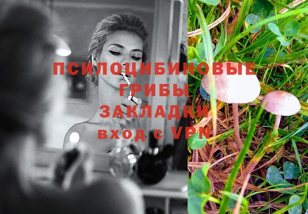 спайс Алексеевка