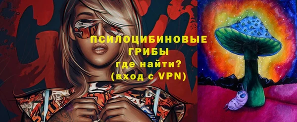 спайс Алексеевка
